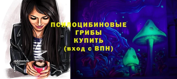 гашиш Богородицк