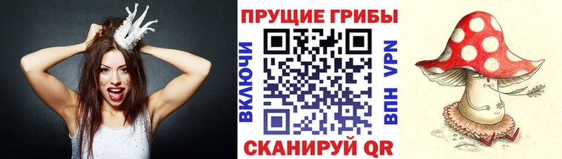 блэк спрут маркетплейс  Минеральные Воды  Галлюциногенные грибы Psilocybe 